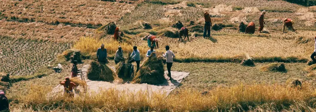 La migración rural de los jóvenes y su impacto en la sostenibilidad de la agricultura