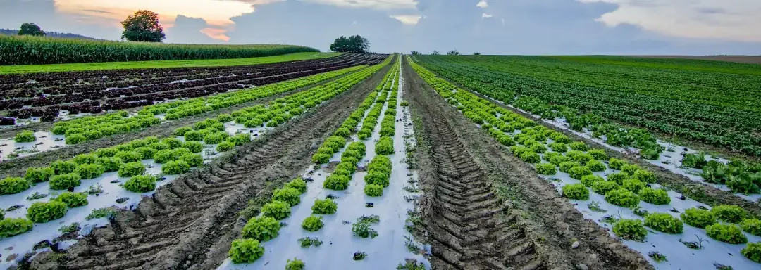 El sector agroalimentario: un mercado de 8200 M de clientes