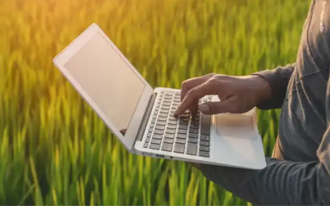 Pronóstico de demanda en el sector agrícola: una clave para el éxito