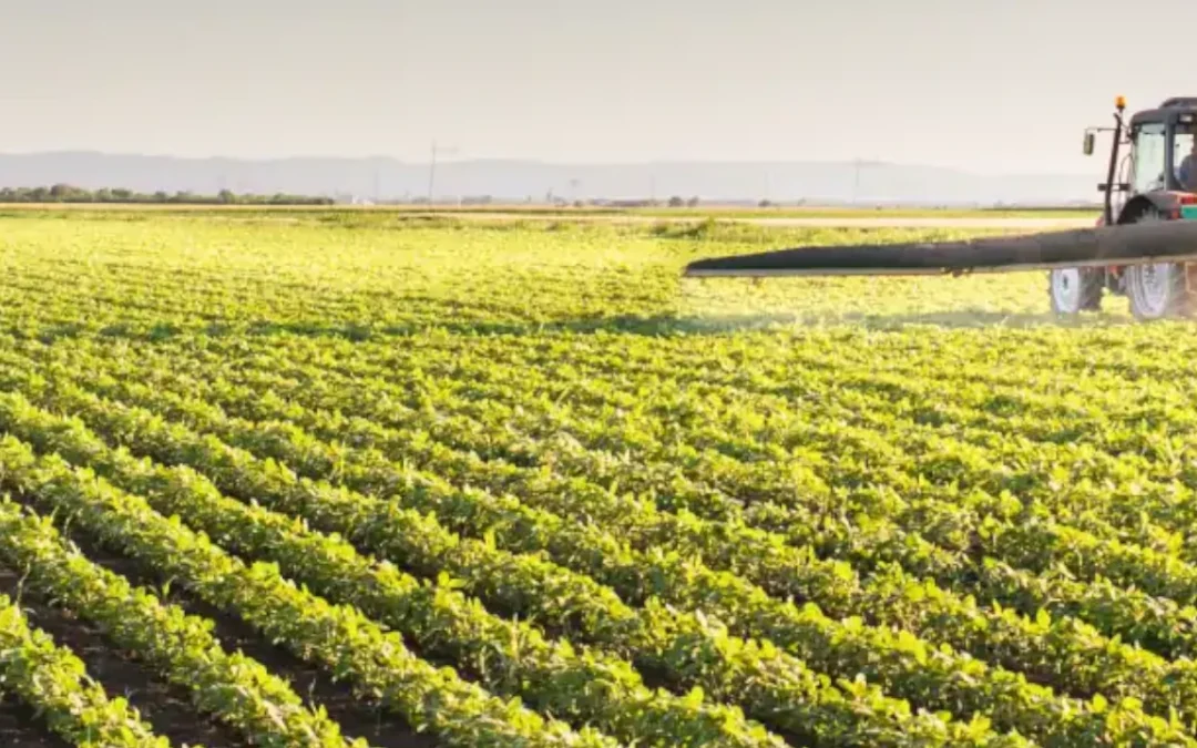  La métrica como pilar del desarrollo agrícola