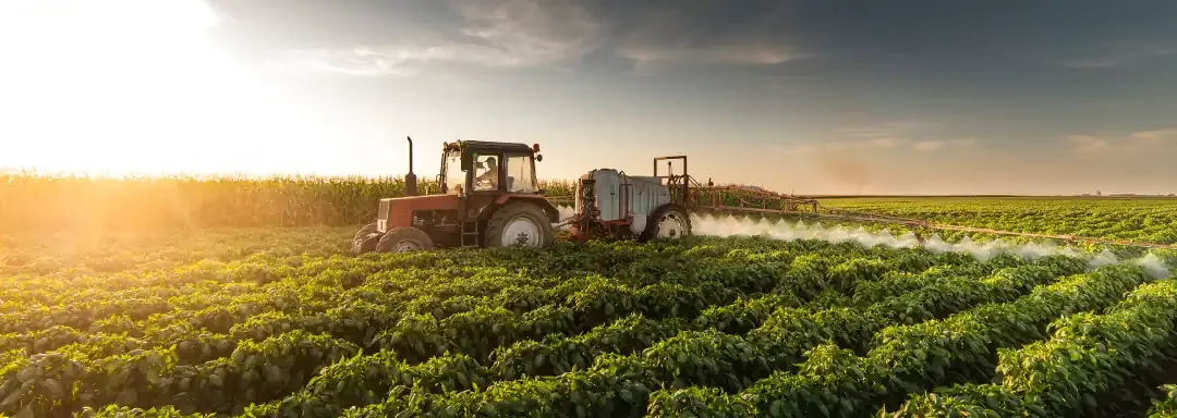 Holanda: La puerta de acceso al mercado europeo para el agro colombiano