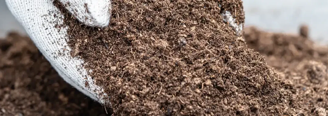 Fibra de coco: el «nuevo suelo» que transforma la agricultura