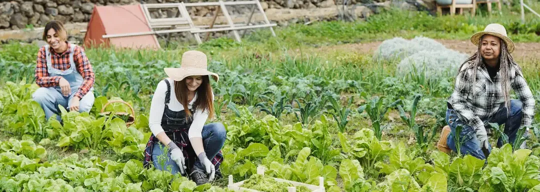 La formalización del agro colombiano: Pilar de un futuro próspero